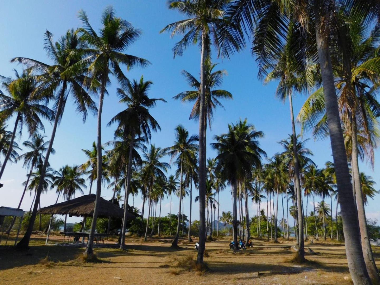 ホテル Swiss Bonihouse Koh Yao Yai Ban Pru Nai エクステリア 写真