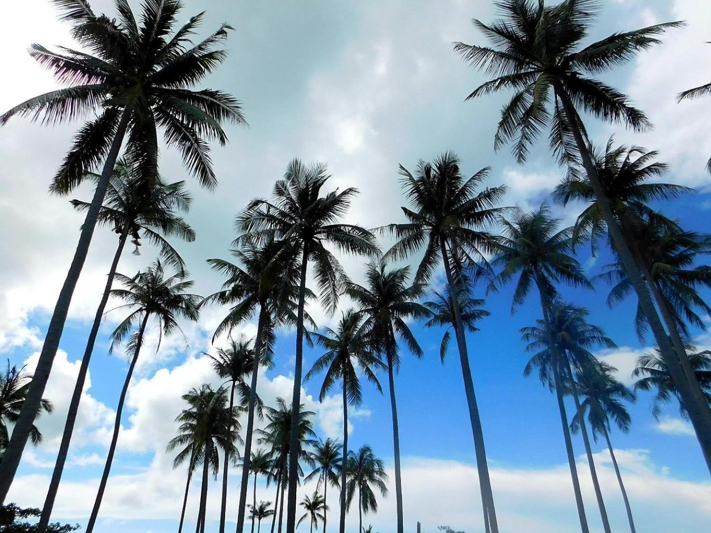 ホテル Swiss Bonihouse Koh Yao Yai Ban Pru Nai エクステリア 写真