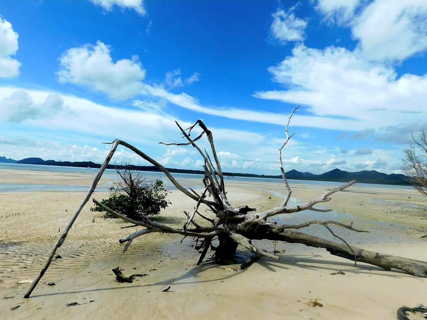ホテル Swiss Bonihouse Koh Yao Yai Ban Pru Nai エクステリア 写真