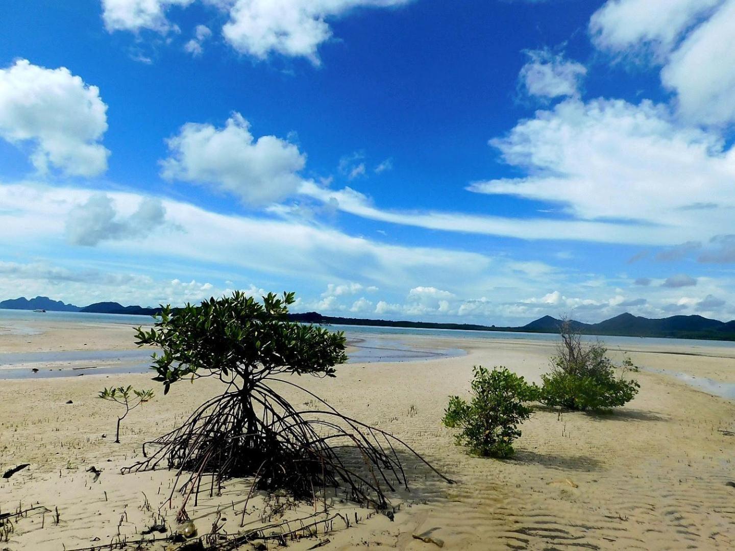 ホテル Swiss Bonihouse Koh Yao Yai Ban Pru Nai エクステリア 写真