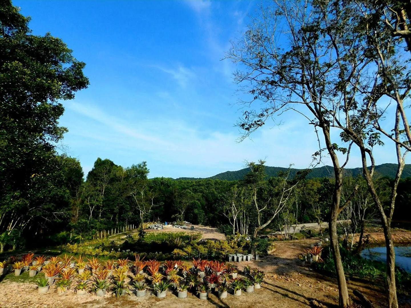 ホテル Swiss Bonihouse Koh Yao Yai Ban Pru Nai エクステリア 写真