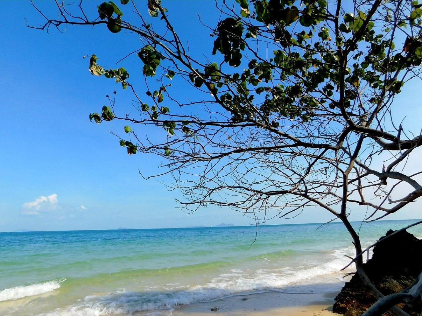 ホテル Swiss Bonihouse Koh Yao Yai Ban Pru Nai エクステリア 写真