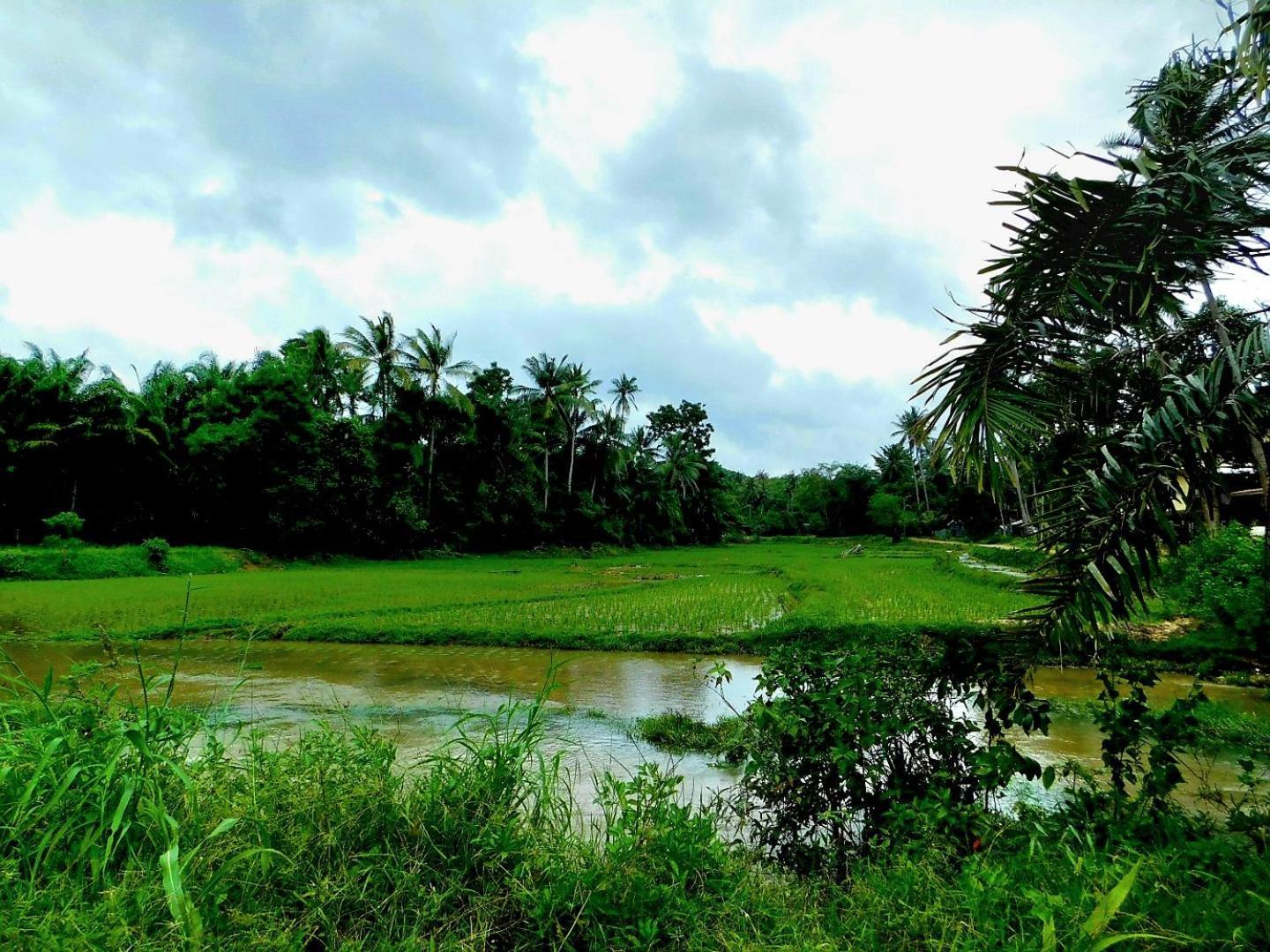 ホテル Swiss Bonihouse Koh Yao Yai Ban Pru Nai エクステリア 写真